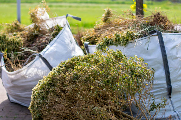 Best Office Junk Removal  in Beattyville, KY